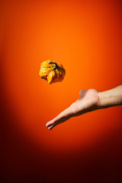 Hand Catching a Small Decorative Pumpkin Floating in the Air on Orange Background