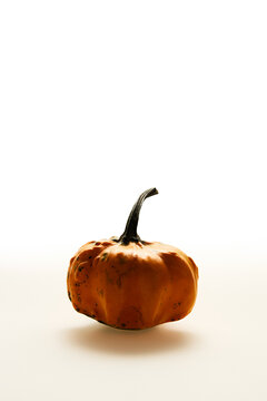 Small Ripe Orange Decorative Pumpkin with Stem on White Background