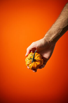 Male Hand Holding a Small Decorative Pumpkin on Orange Background