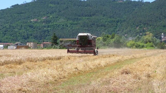 Combine harvester cutting ripe wheat in rural Liguria, Italy, collecting grain during the summer harvest with mountains and countryside in the background. Agriculture concept, agribusiness.