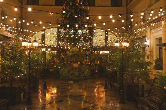 Festive Christmas tree and glowing lights fills a holiday yard exterior