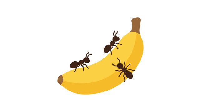 Banana with ants flat vector illustration on a white background