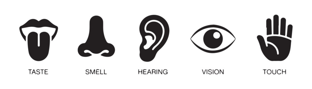 Five human senses icons representing taste smell hearing vision and touch for educational projects.