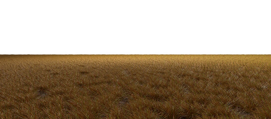 Obraz premium African arid savannah grassland fields cut-out backgrounds 3d rendering png