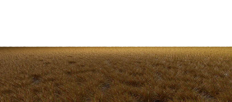African arid savannah grassland fields cut-out backgrounds 3d rendering png