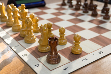 Contrasting wooden chess pieces and board beside a chess clock on a sunny day in chess club. © PuzzleSoul