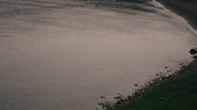 Calm Ripples Along a Quiet Lakeshore
