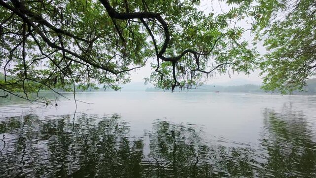 Overhanging tree branches framing misty West Lake, Hangzhou, China, with distant hills and gentle ripples
