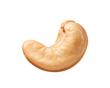 Close-up of one whole cashew with curved shape and textured surface