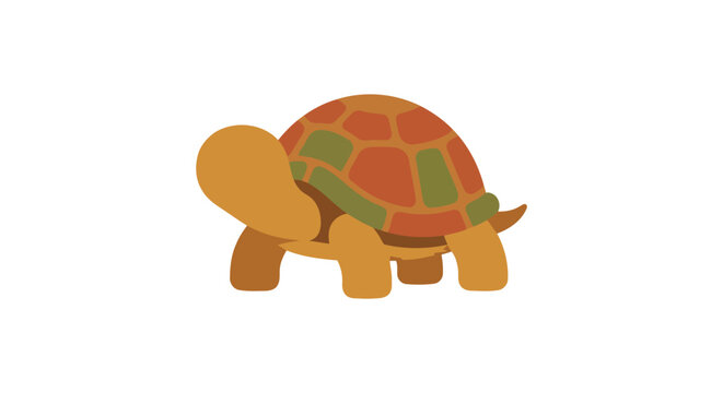 A stylized turtle illustration features a patterned shell against a white background