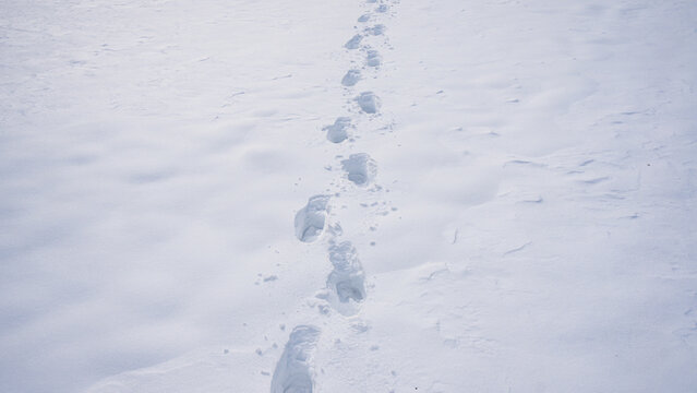 Snowy pathway with snow texture. Footstep impressions in snow. Outdoor winter path with snowflakes. Snow field with foot tracks. Walking through icy snow. Winter path. Snowfall on footpath outdoors.