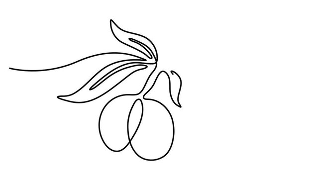 Self drawing line animation Olives branch continuous one single line drawn concept video. National Olive Day. Full length motion. 4k video