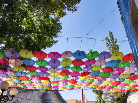 Colorful umbrellas hanging from wires above outdoor city alley against clear blue sky background. Green trees and building facade below. Urban decoration, festival and summer tourism concept.
