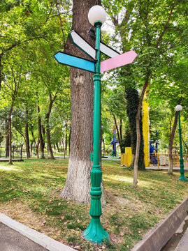 Green vintage lamppost with blank colorful directional arrow signs standing near large tree trunk in sunny city park. Navigation, wayfinding and urban park infrastructure concept.