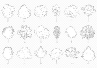 Fototapeta premium Vector trees in elevation view for use in architectural drawings isolated on transparent background
