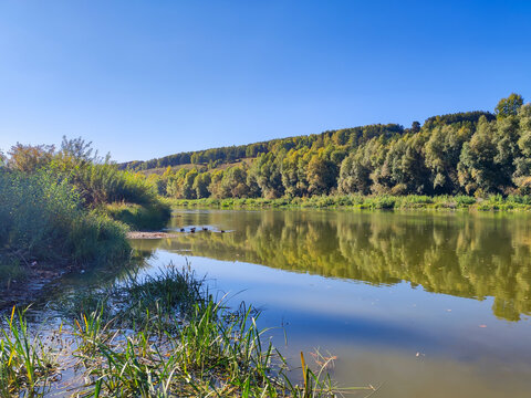 Ducks swimming on a calm river near a grassy bank, with a forested hill in the background. Early autumn landscape under a clear blue sky for nature, ecology, and tourism backgrounds.