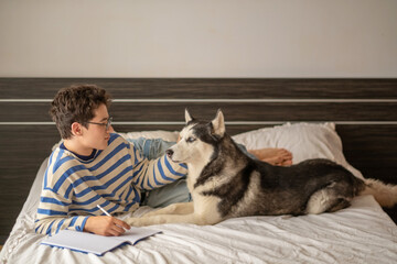 Teenage boy and Siberian husky sitting together on bed, company better than any classmate, story told without any single spoken word. Wide shot. Concept of studying together with own dog © iwavephoto