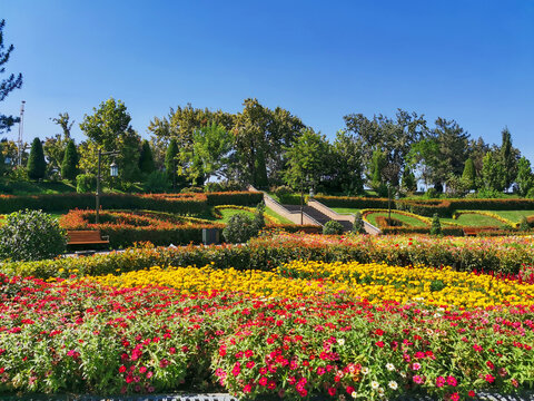 Colorful flower beds and manicured hedges in a public park with a central staircase. Sunny urban landscape with green trees and blue sky. Landscaping, gardening, and tourism background.