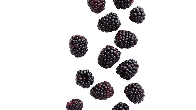 Abstract composition scatter pattern of fresh raw black beans seeds isolated on transparent background