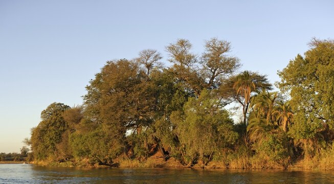 Okawango near the Mahango Safari Lodge, Namibia, Africa