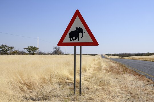 Beware of elephants sign, near Khorixas, Damaraland, Kunene Region, Namibia