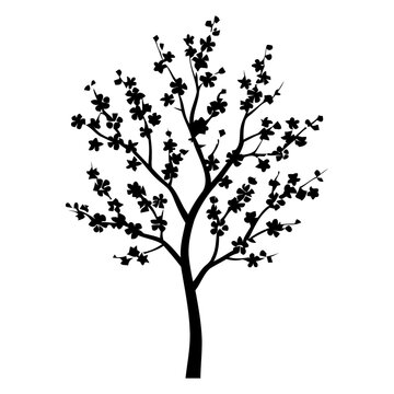 Blossoming Tree Silhouette