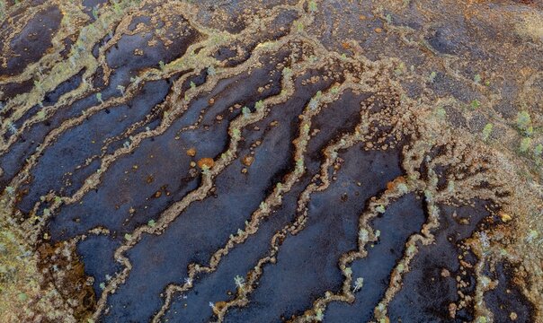 Drone image, aerial view, close-up, wetland, bog in autumn, Lapland, Finland
