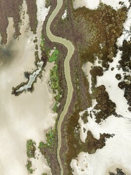 Marshland at low tide. Nature Reserve La Bre&ntilde;a y Marismas del Barbate. Aerial view. Drone shot. C&aacute;diz province, Andalusia, Spain