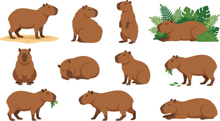 Obraz premium Cute Capybara Character Pose Vector Collection Set for Wildlife Education and Animal Graphic Designs