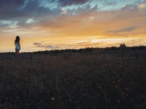 Girl stand in nature lookout to sunflower field sunset. Thoughtful woman, dreams, aspirations lifestyle concept. Georgia