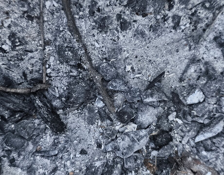 Burnt coals, embers, and ash remaining after a fire, natural background fragments with a gray texture.