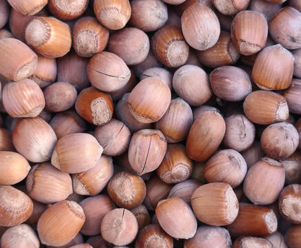 Whole hazelnuts closeup as natural food background.
