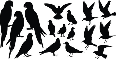 Fototapeta premium Black bird silhouette vector set featuring parrots pigeons crows and flying birds isolated on a white background 
