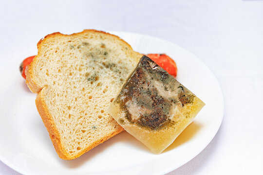 Moldy bread and jelly served on a plate in a kitchen setting during daylight hours