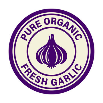 Purple organic fresh garlic round label badge with text for food market branding Vector