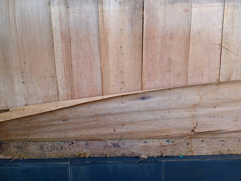 Old broken plywood board with rough weathered wood texture background