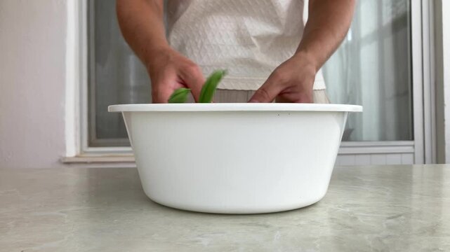 A woman puts fresh green beans in a white bowl, women&rsquo;s hands wash the green vegetables before cooking. The theme is the natural origin of products, freshness, eco‑friendliness, and home‑cooked meals