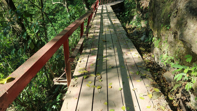 Wooden boardwalk path with red railing leading through forest on cliff side