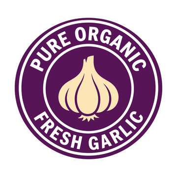 Pure organic fresh garlic round purple label badge Vector