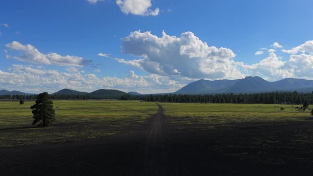 Aerial view of the volcanic cinder hills near Flagstaff featuring patches of green vegetation against dark volcanic soil under a bright blue sky in Flagstaff, Arizona, United States.