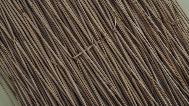 Arrangement of parallel brown fibrous strands with golden flecks micro-texture material collection parallel material abstract
