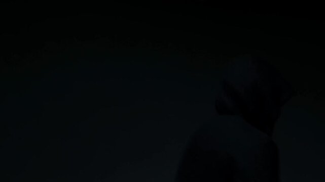 Hooded person turning from a frontal silhouette in a dark, shadowed setting
