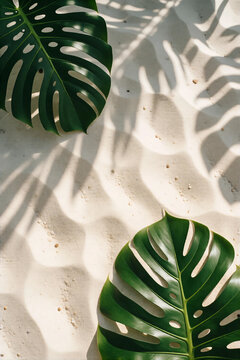 Tropical monstera leaves resting on white sand beach texture with natural sunlight shadows cast across the surface creating a summer vacation holiday aesthetic background for travel design concept