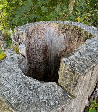 Weathered tree stump with textured wood and moss.