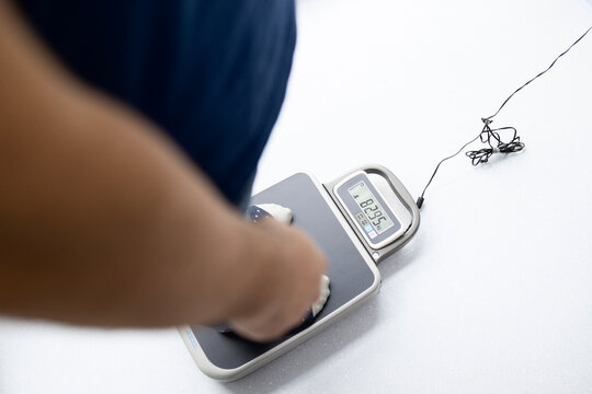 Individual standing on a digital scale, showing their current weight for monitoring health, nutrition, and well-being