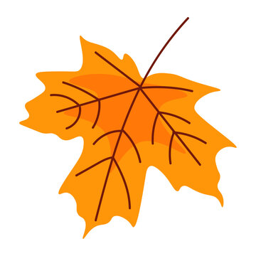 Flat Orange Maple Leaf Vector Illustration