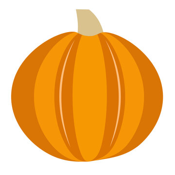 Flat Orange Pumpkin Vector Illustration