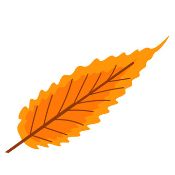 Flat Elongated Orange Autumn Leaf Vector Illustration   