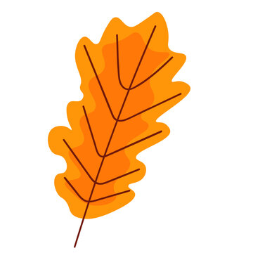 Flat Orange Oak Leaf Vector Illustration   
