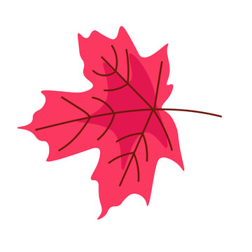 Flat Red Maple Leaf Vector Illustration